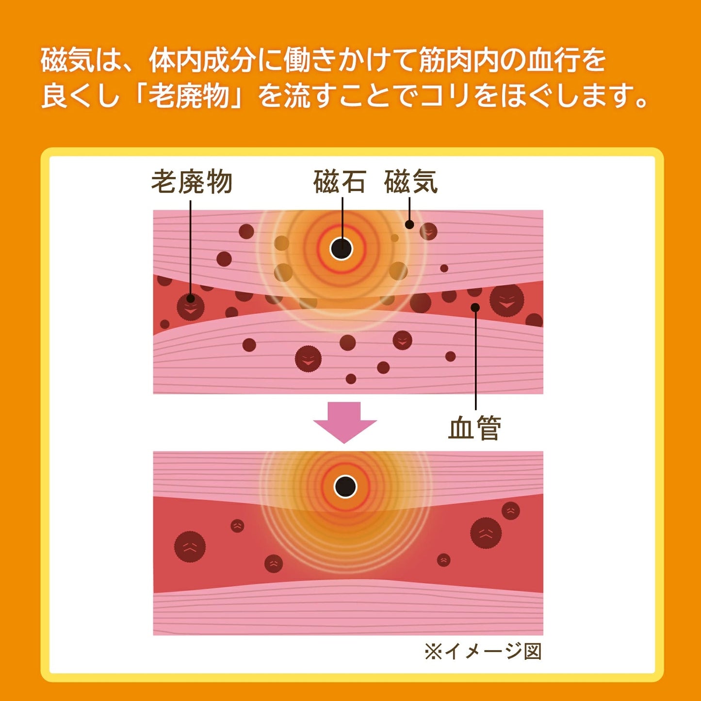 ピップエレキバンコラボ 【管理医療機器】腰こりらっくす セミロング丈 - LECIEN ルシアン