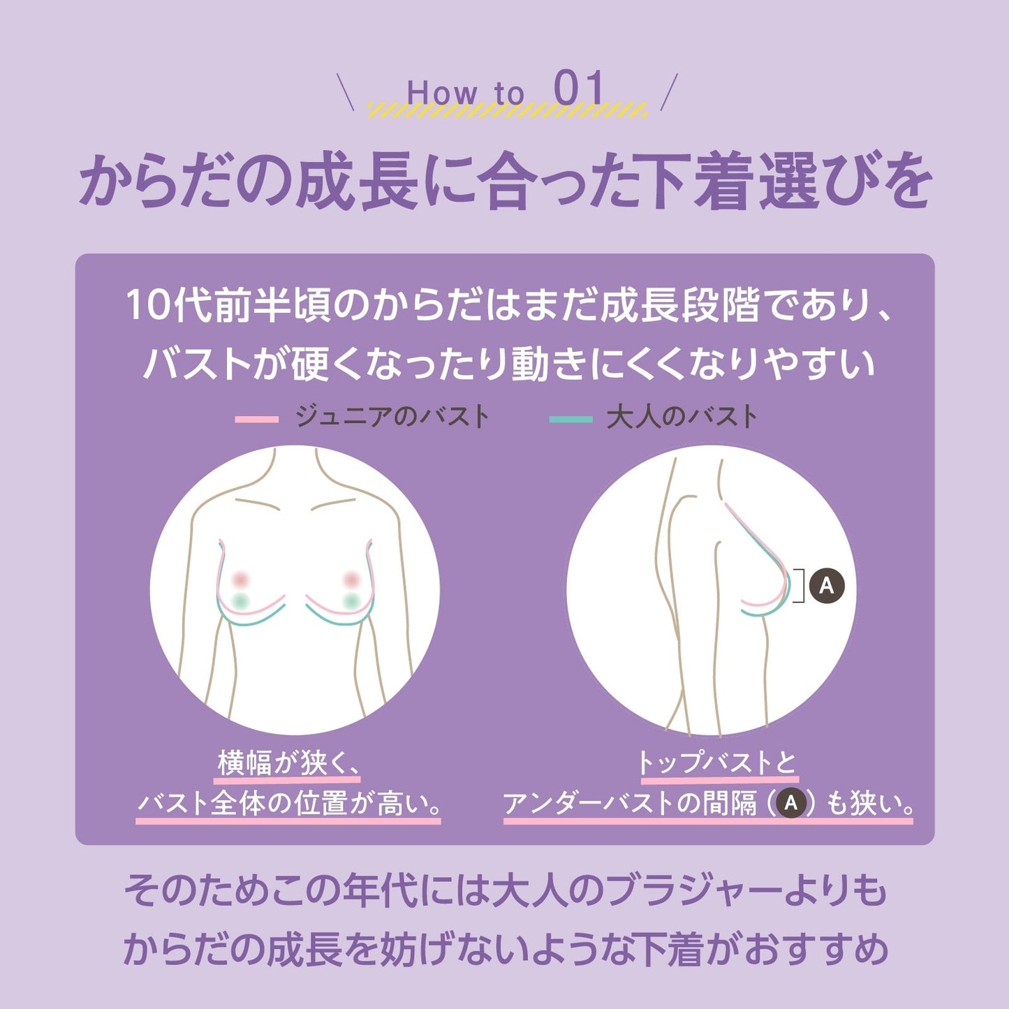 部活ブラ 胸を目立たせたくない人のためのブラ - LECIEN ルシアン