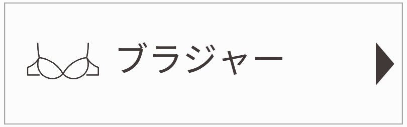 ブラジャー - LECIEN ルシアン