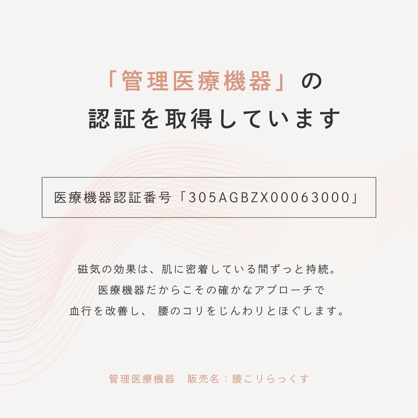 ピップエレキバンコラボ【管理医療機器】腰こりらっくすLUXE ペアショーツ