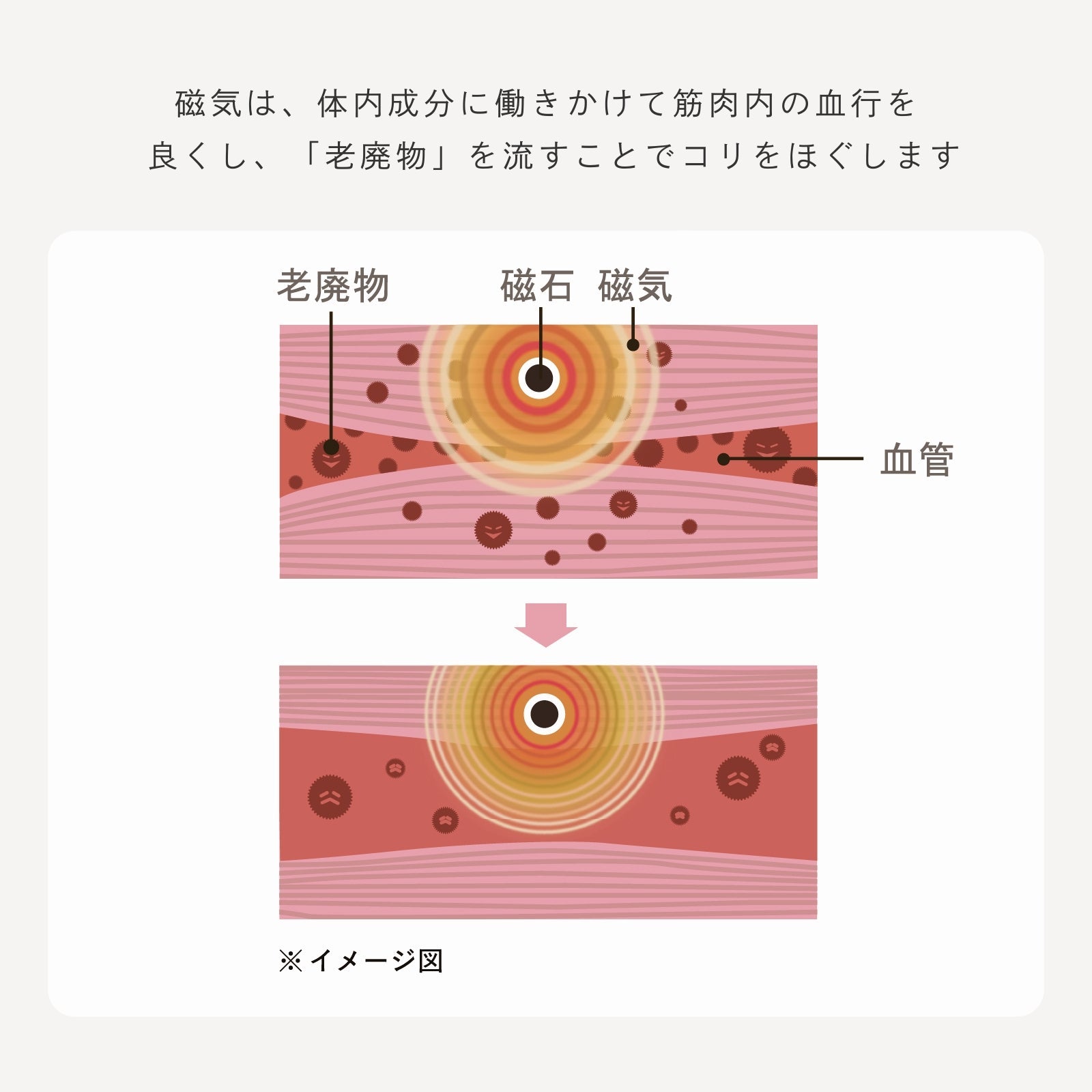 ピップエレキバンコラボ【管理医療機器】腰こりらっくすLUXE ペアショーツ - LECIEN ルシアン