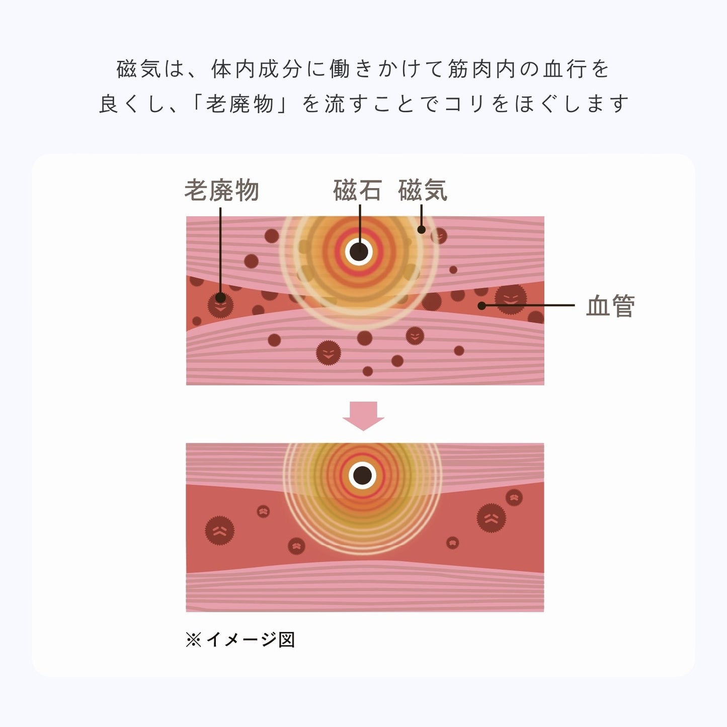 ピップエレキバンコラボ 【管理医療機器】 肩らっくす ノンワイヤーブラ - LECIEN ルシアン