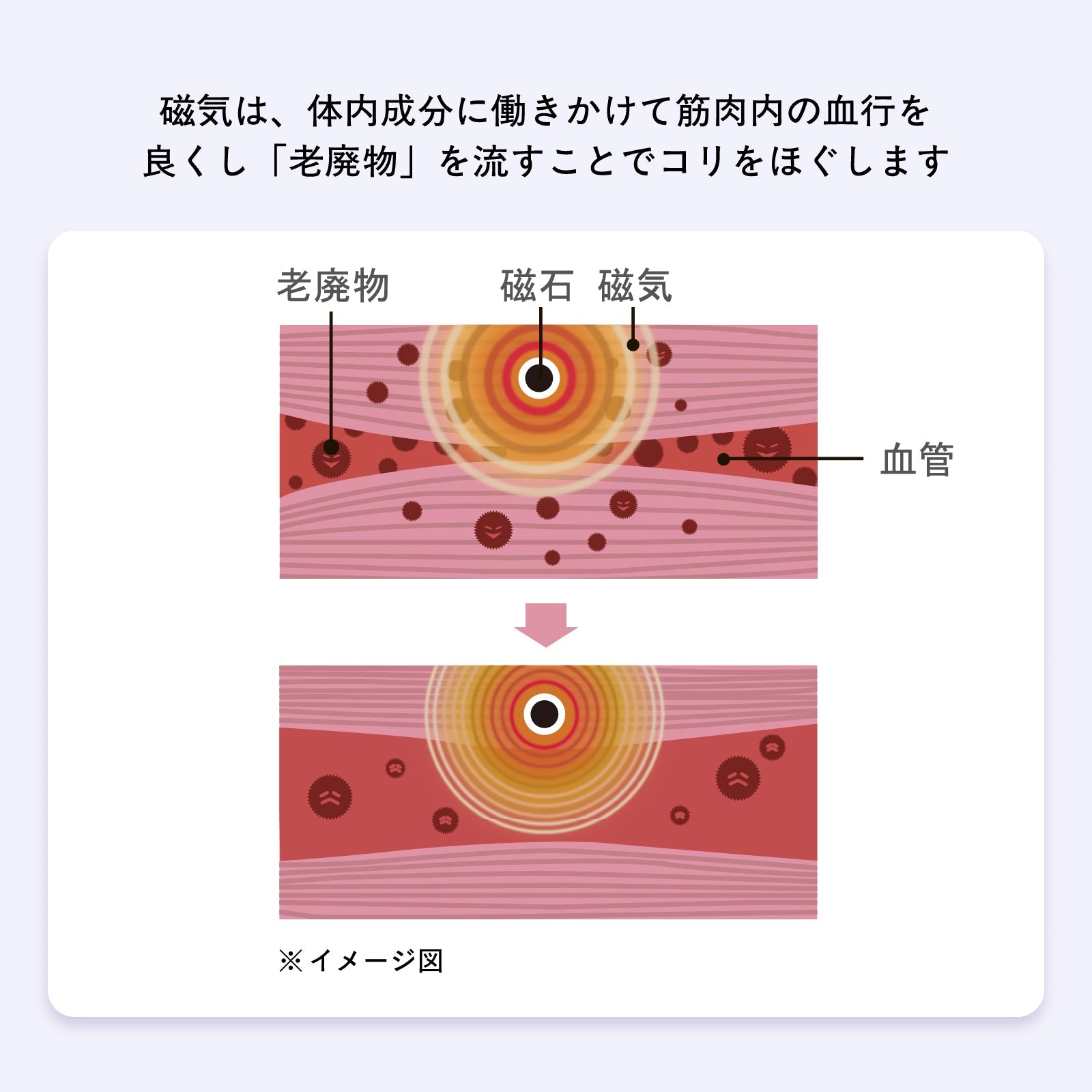 ピップエレキバンコラボ 【管理医療機器】 肩らっくす ノンワイヤーブラ - LECIEN ルシアン