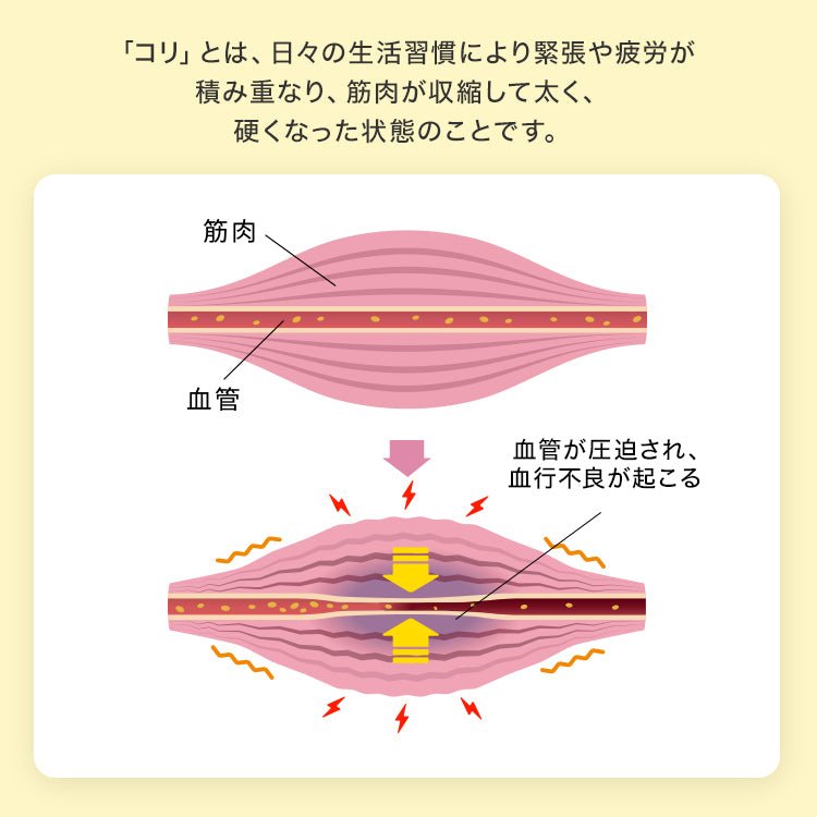ピップエレキバンコラボ 肩らっくす® - LECIEN