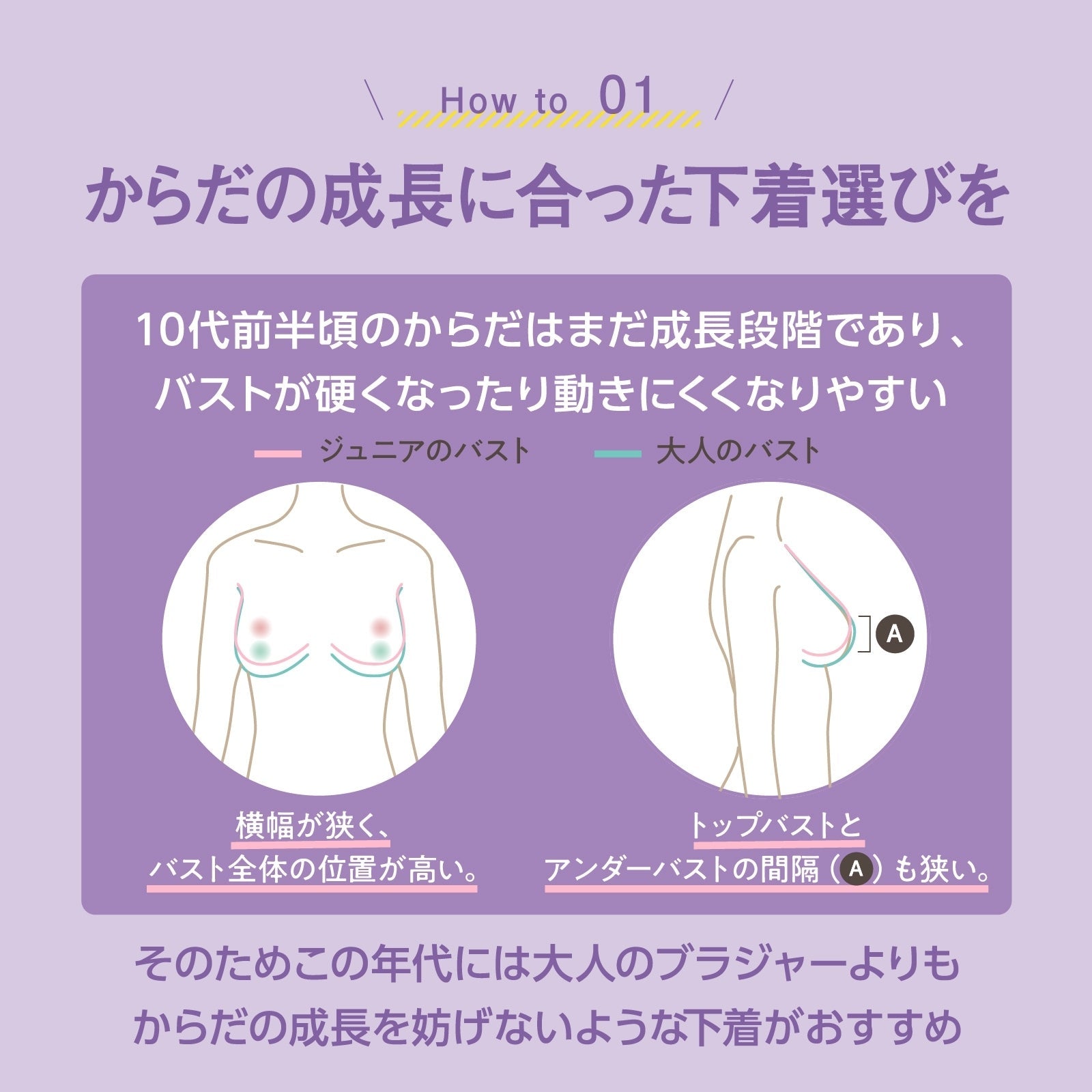 部活ブラ 胸を目立たせたくない人のためのブラ - LECIEN ルシアン